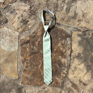 Sage Green Silky Necktie with Medium Width
